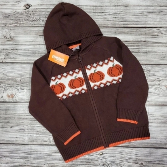 Gymboree Fall Harvest Pumpkin Sweater - Picture 2 of 8